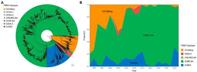 Molecular evolution, diversity, and adaptation of foot-and-mouth disease virus serotype O in Asia